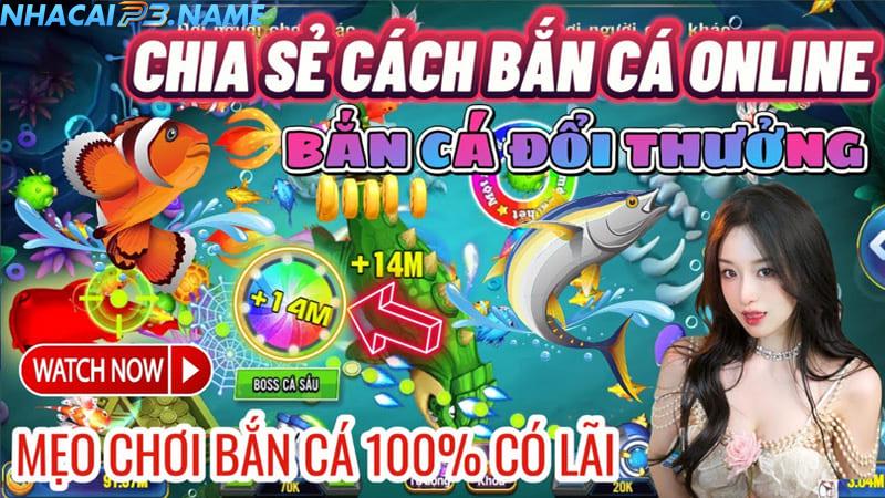 Bật mí những thủ thuật săn cá siêu chuẩn từ cao thủ