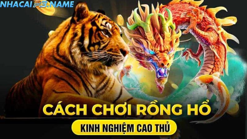 Kinh nghiệm chơi rồng hổ online không phải ai cũng biết