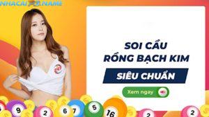 soi cầu rồng bạch kim