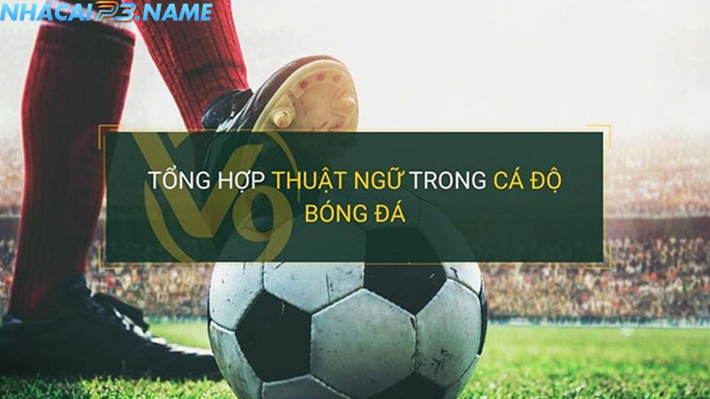 Những thuật ngữ bóng đá cần nắm dành cho tân binh